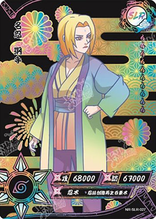 Ensemble complet SLR-