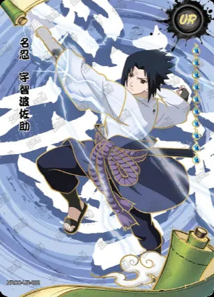 Ensemble complet UR l'age Ninja