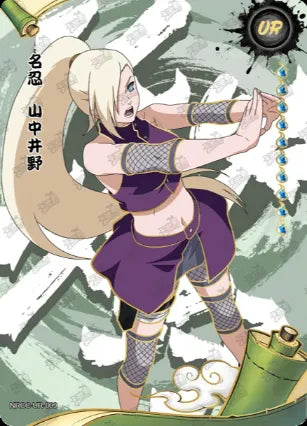 Ensemble complet UR l'age Ninja